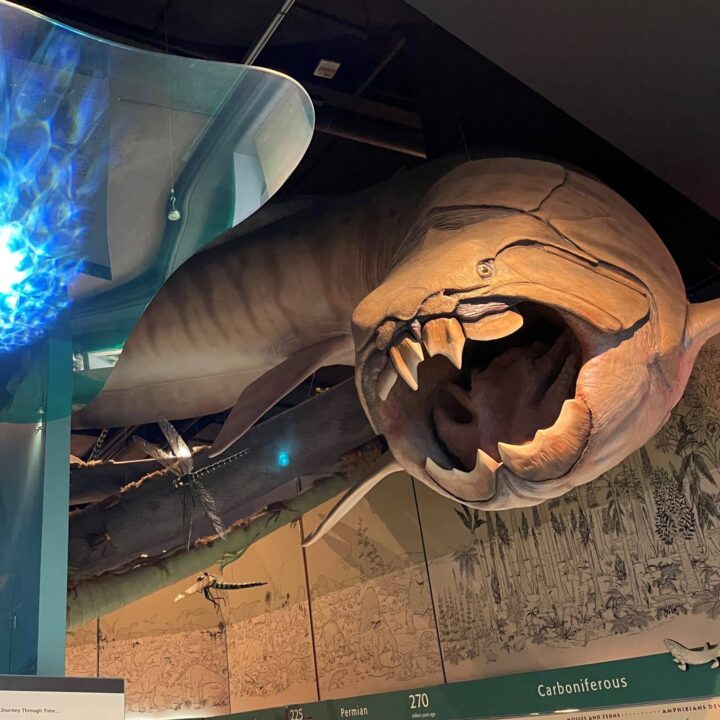 field trips in kenosha, school field trips in kenosha, museum trips in kenosha