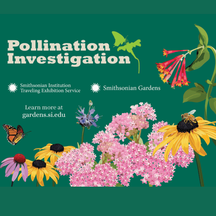 free things to do in kenosha, field trips in kenosha, space for rent in kenosha