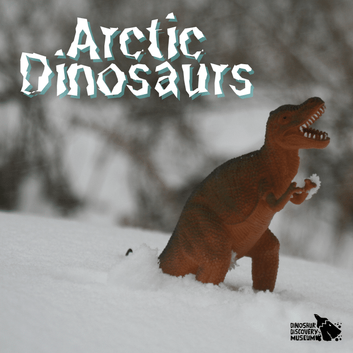 DDM_ArcticDinos_720x720px