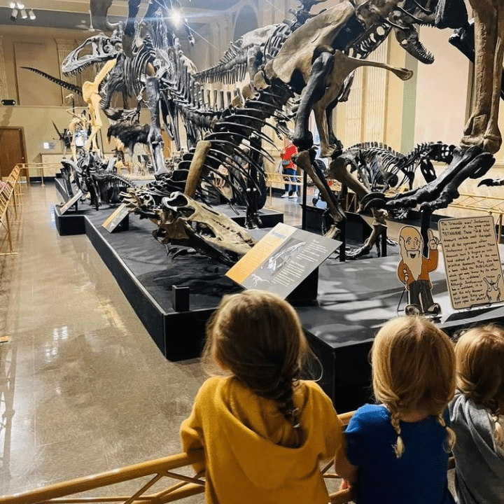 DDM_Homeschool DDM_Homeschool