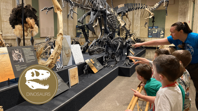 Summer Camp: Dinosaurs