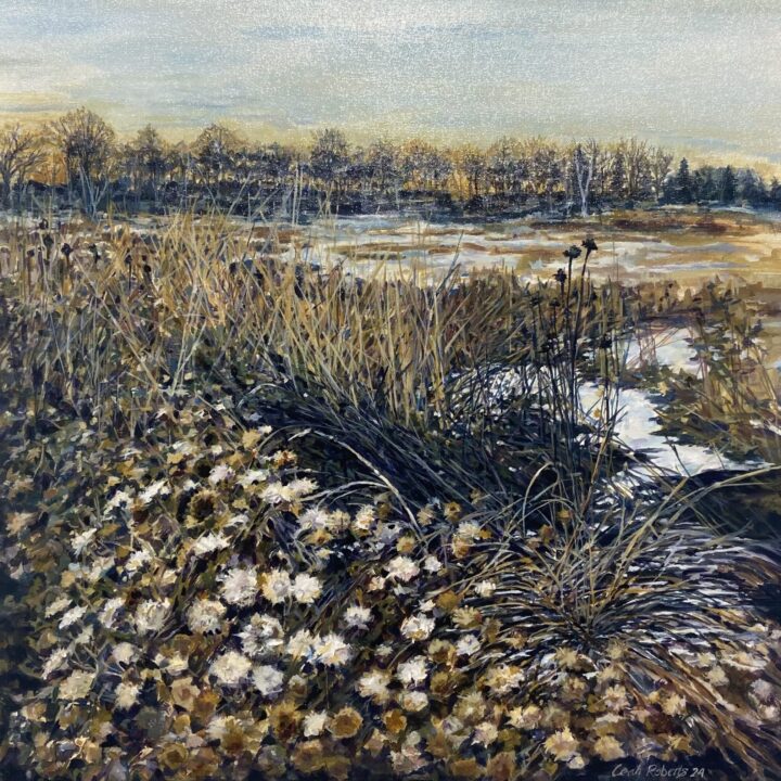 Winter landscape with snow-dusted plants and bare trees under a pale sky.