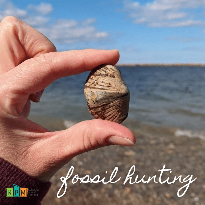 Gen_KPM_FossilHunting