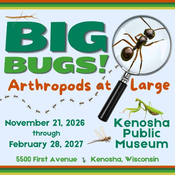 Poster for "Big Bugs! Arthropods at Large" at the Kenosha Public Museum, showing insects and exhibit details.