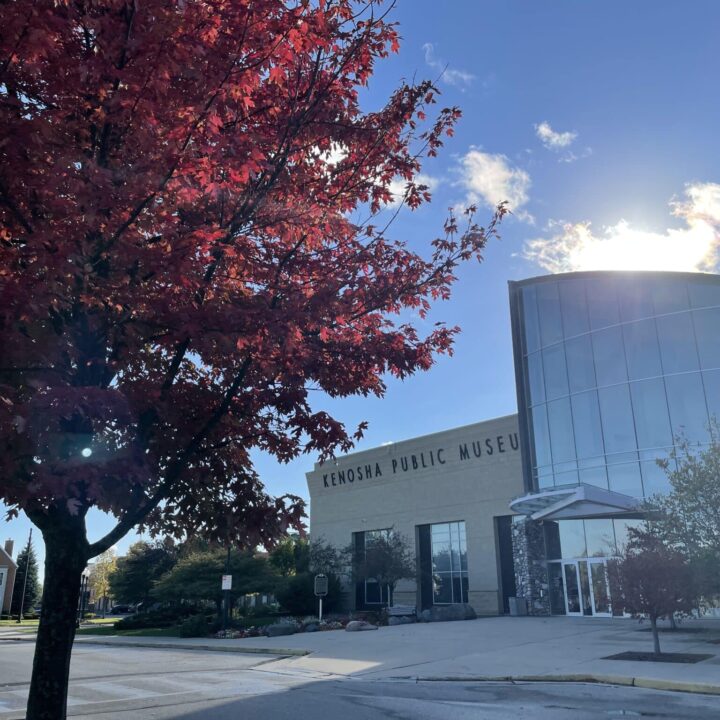 Tree with red leaves in front of the Kenosha Public Museum’s glass-front building.